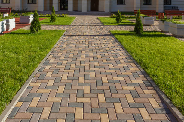 Best Luxury Driveway Paving Solutions in Tuscumbia, AL